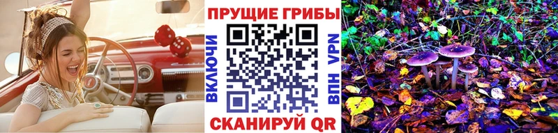 Галлюциногенные грибы GOLDEN TEACHER  купить   Приозерск 