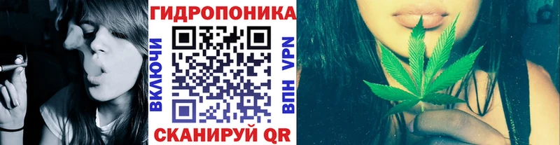 закладки  Приозерск  Бошки марихуана Amnesia 